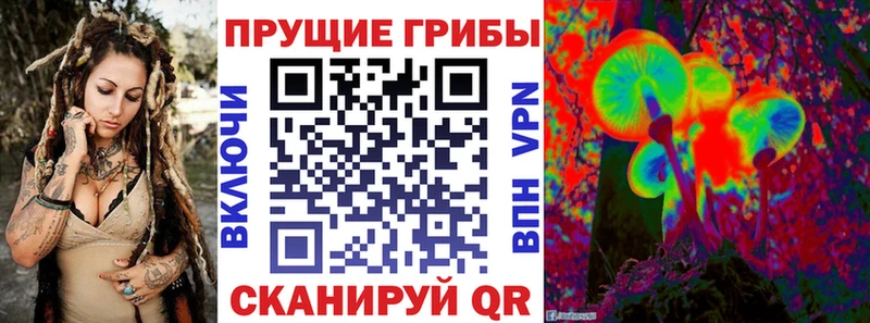 мега зеркало  Котельники  Псилоцибиновые грибы Cubensis 
